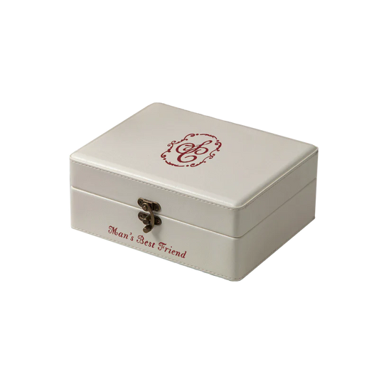 Man's Best Friend Retro CD Player